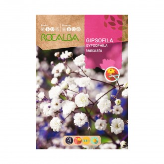 Gipsofila Paniculata Branca 4 G ROCALBA