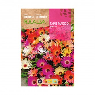 Tapiz Magic 3 G ROCALBA