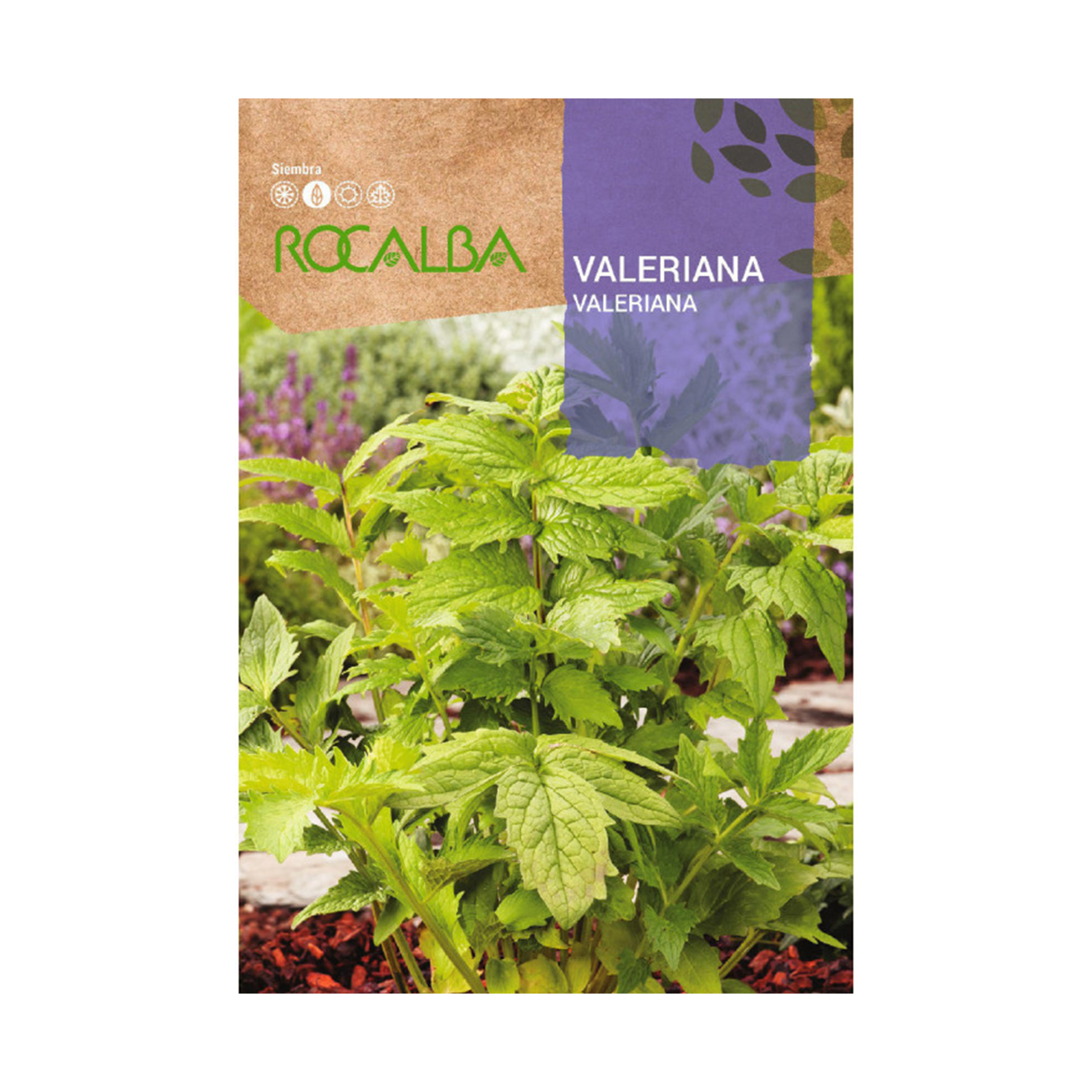 Valeriana 0,2 G ROCALBA