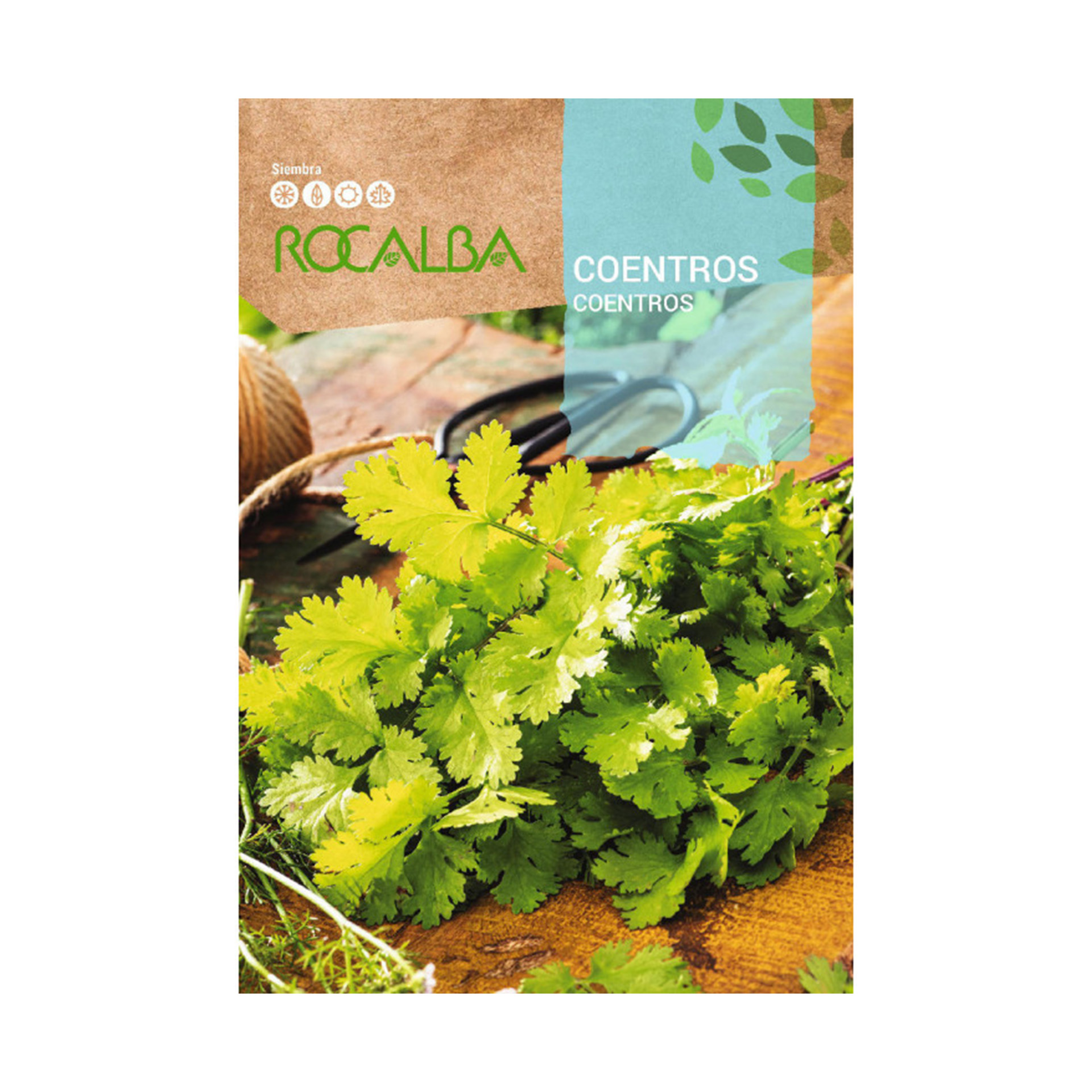 Coentro 25 G ROCALBA