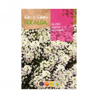 Aliso Tapis Neige 4 G ROCALBA