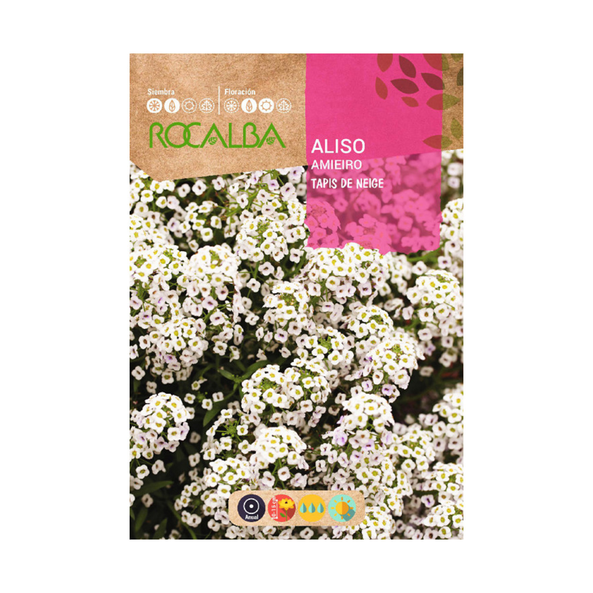 Aliso Tapis Neige 4 G ROCALBA