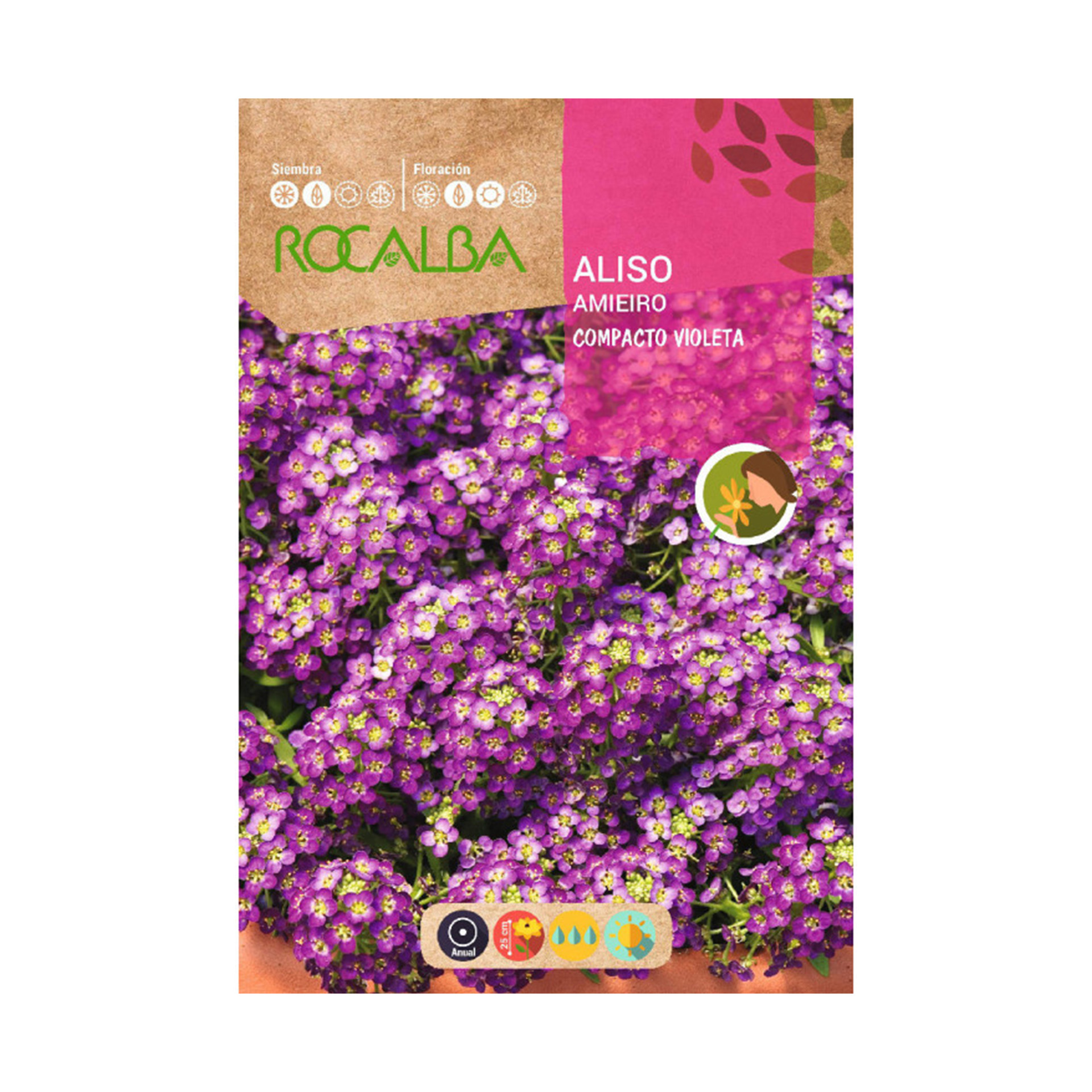 Alis Compacto Violeta 2 G ROCALBA