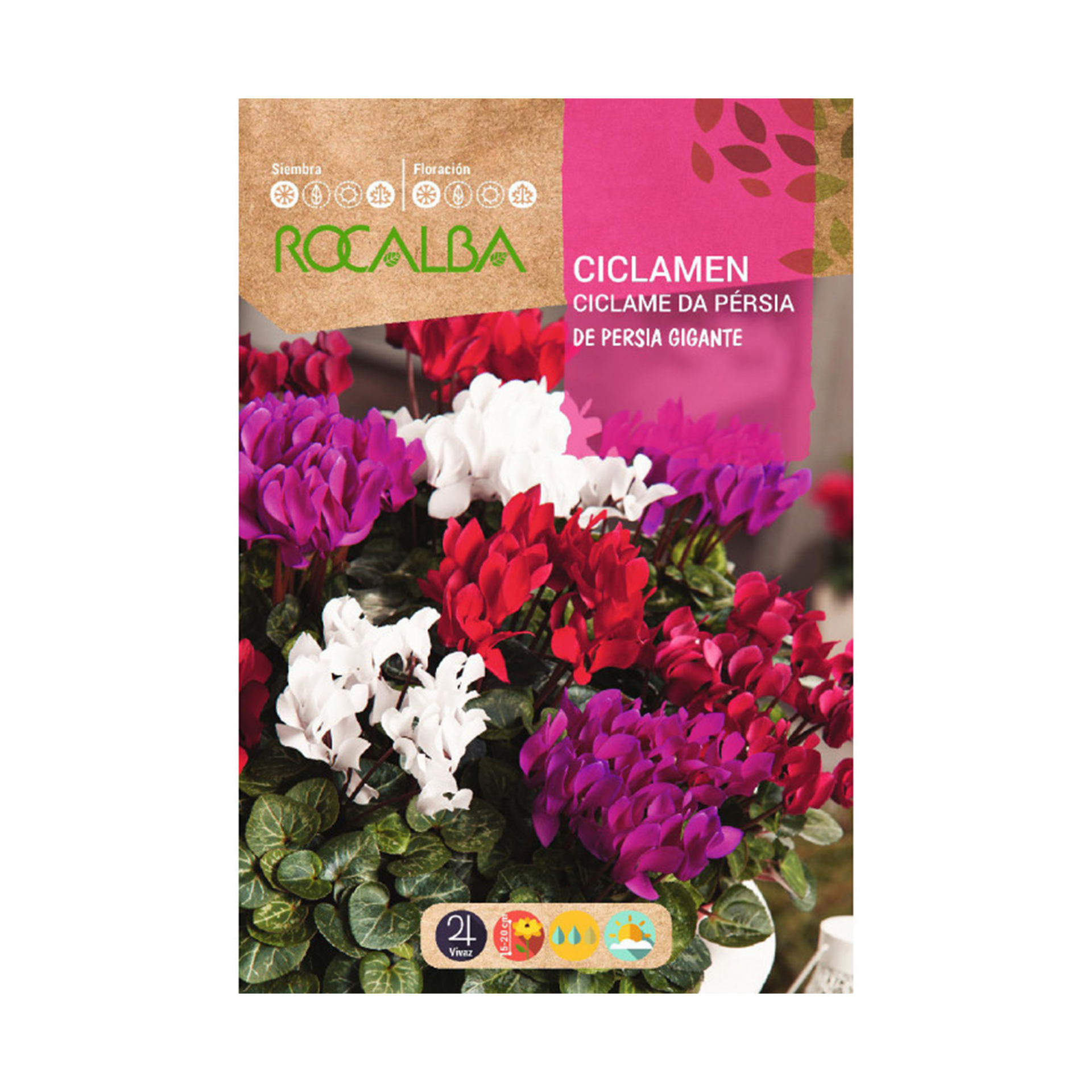 Ciclame Persia Gigante 0,1 G ROCALBA