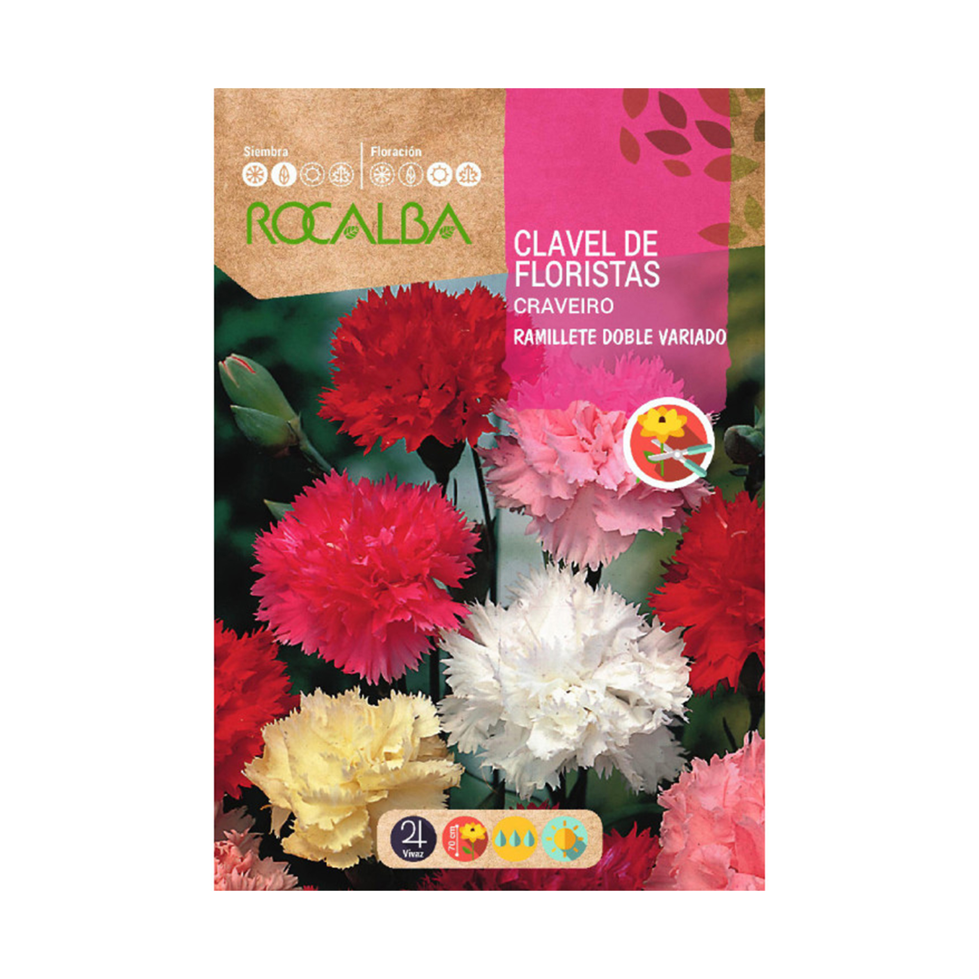 Cravo Florista 1 G ROCALBA