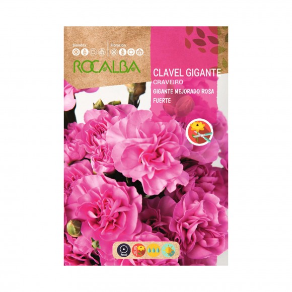 Cravo Gigante Melhorado Rosa 1 G ROCALBA