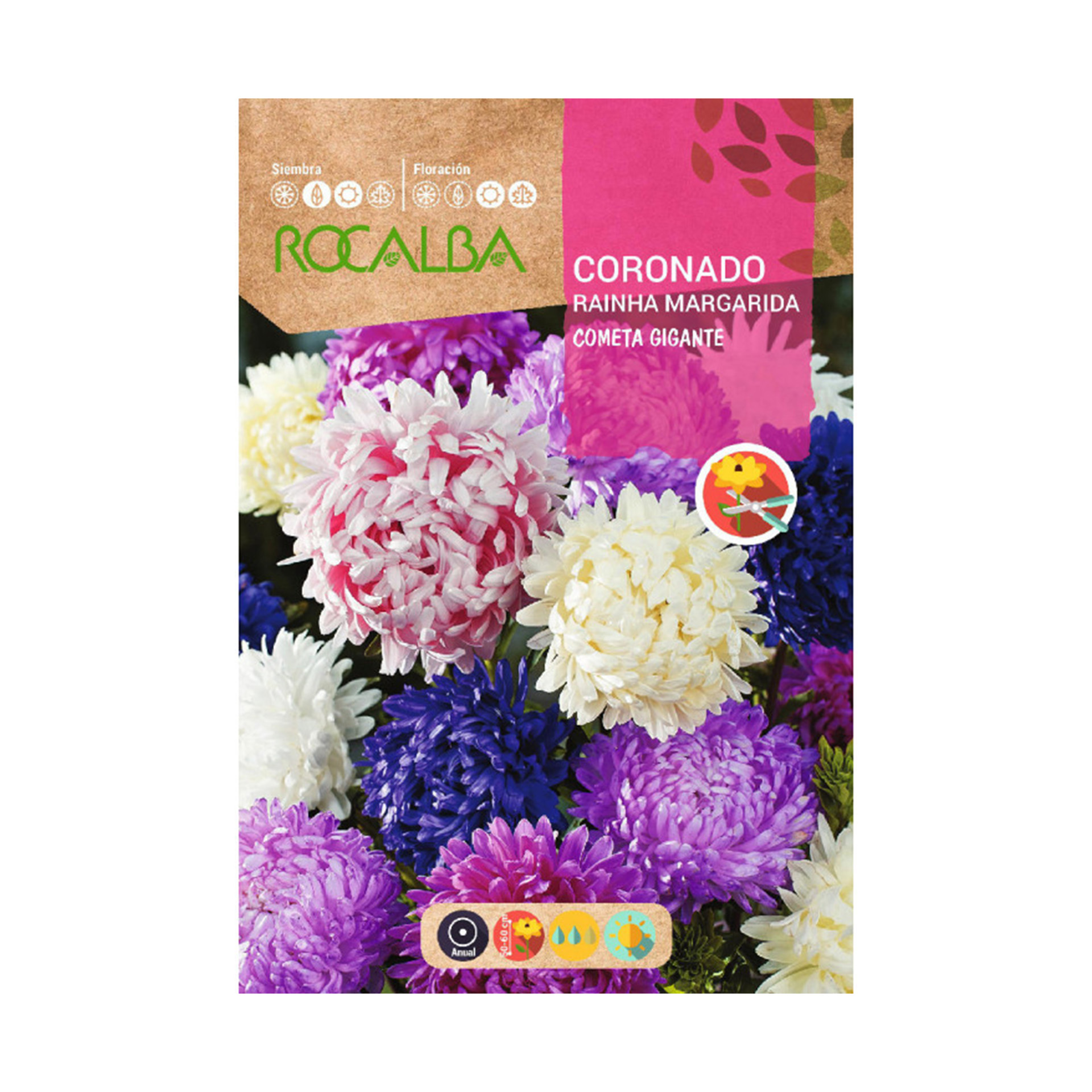 Coronado Cometa Gigante 4 G ROCALBA