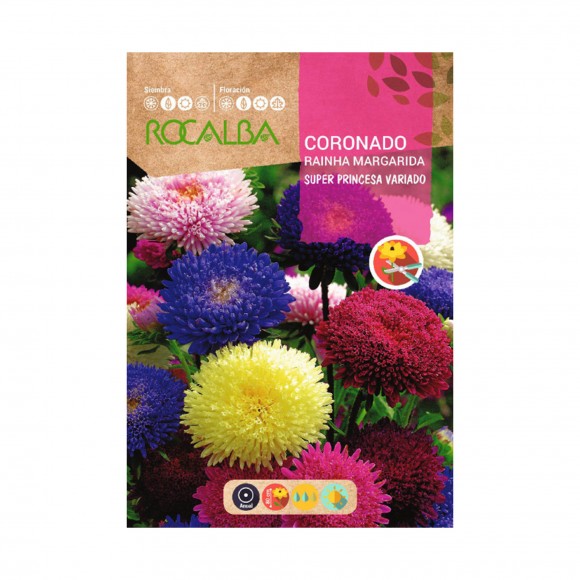 Coronado Super Princesa 3 G ROCALBA Coronado Super Princesa 3 G ROCALBA