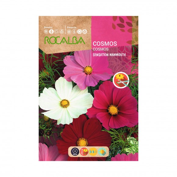 Cosmos Sensation Mammo 10 G ROCALBA