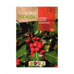 Azevinho 1 G ROCALBA