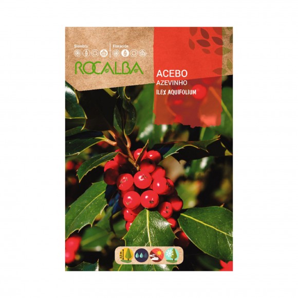 Azevinho 1 G ROCALBA