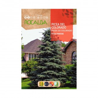Pinheiro Do Colorado 0,5 G ROCALBA