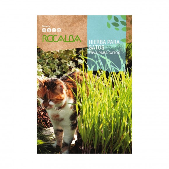 Erva P/Gatos 10 G ROCALBA