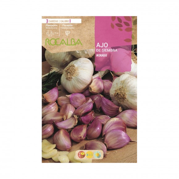 Alho Sementeira Morado 3 Un ROCALBA