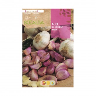 Alho Sementeira Morado 3 Un ROCALBA