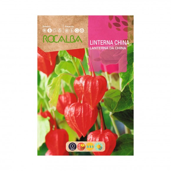 Lanterna China 1 G ROCALBA