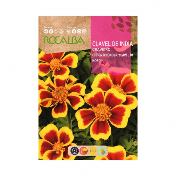 Cravo  Da �ndia Honneur 4 G ROCALBA