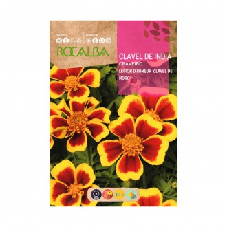 Cravo  Da �ndia Honneur 4 G ROCALBA