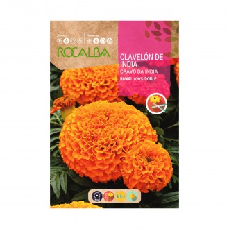 Cravo �ndia Hawai 4 G ROCALBA