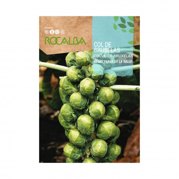 Couve Bruxelas Semi-An� 8 G ROCALBA