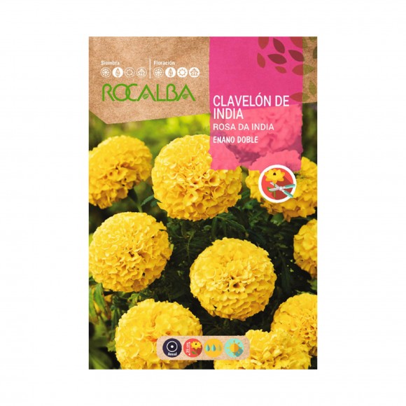 Cravo Da �ndia 4 G ROCALBA