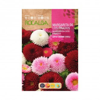 Margarida Prado Enorme 0,2 G ROCALBA