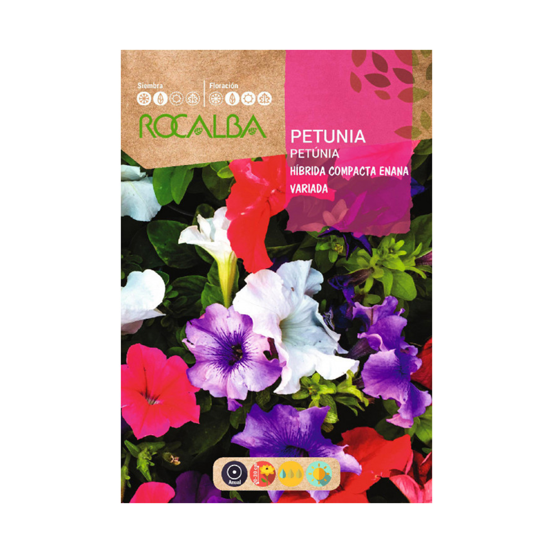 Petúnia Anã Hibrida Variada 0,5 G ROCALBA