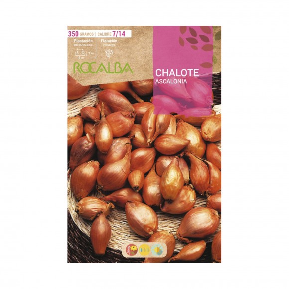 Chalotes Mesa Ascalonia 350 G ROCALBA