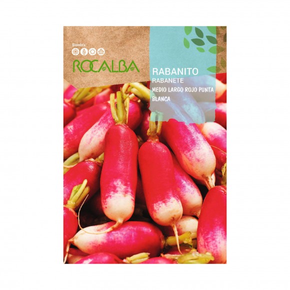 Rabanete M/Largo 10 G ROCALBA Rabanete M/Largo 10 G ROCALBA