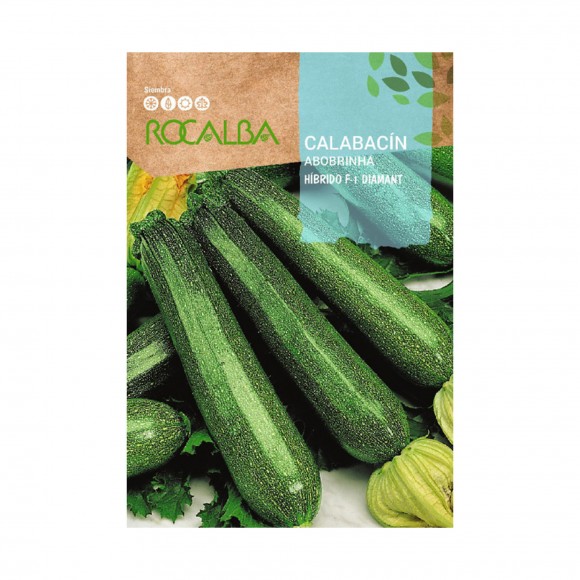 Courgette Hibrido F1 Diamante 3 G ROCALBA
