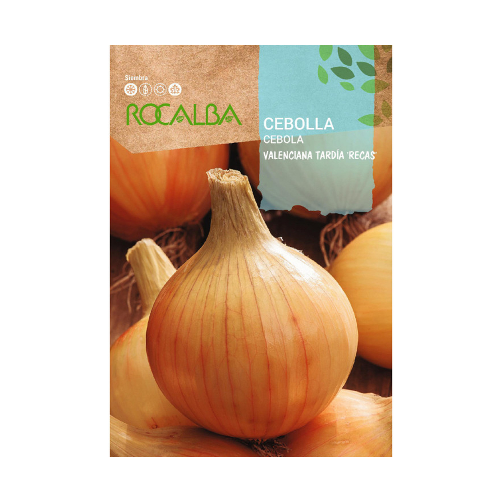 Cebola Valenciana Recas 25 G ROCALBA