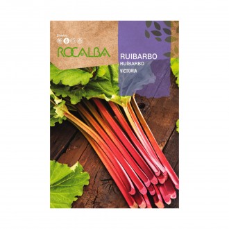 Ruibarbo 1 G ROCALBA