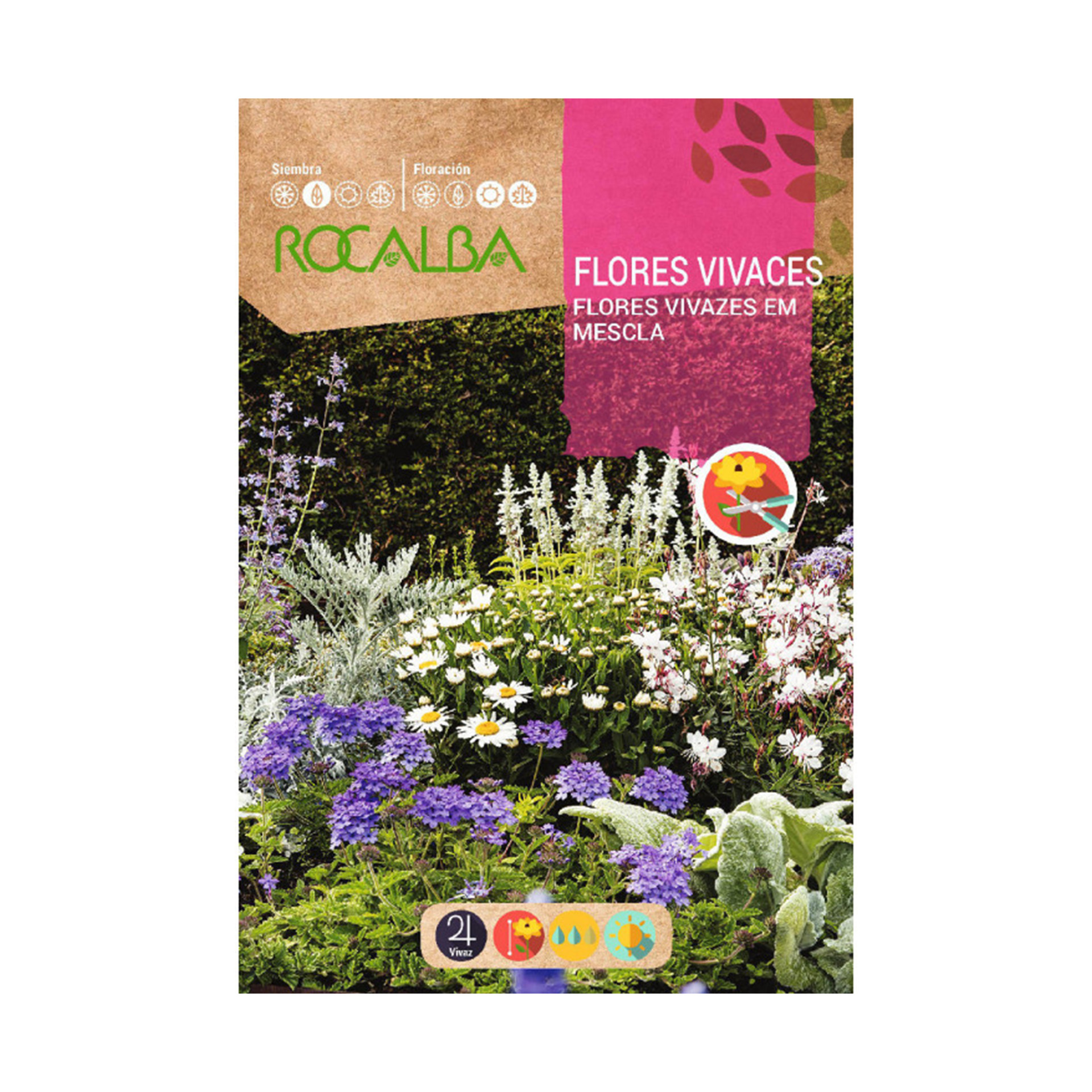 Flores Vivazes 1 G ROCALBA