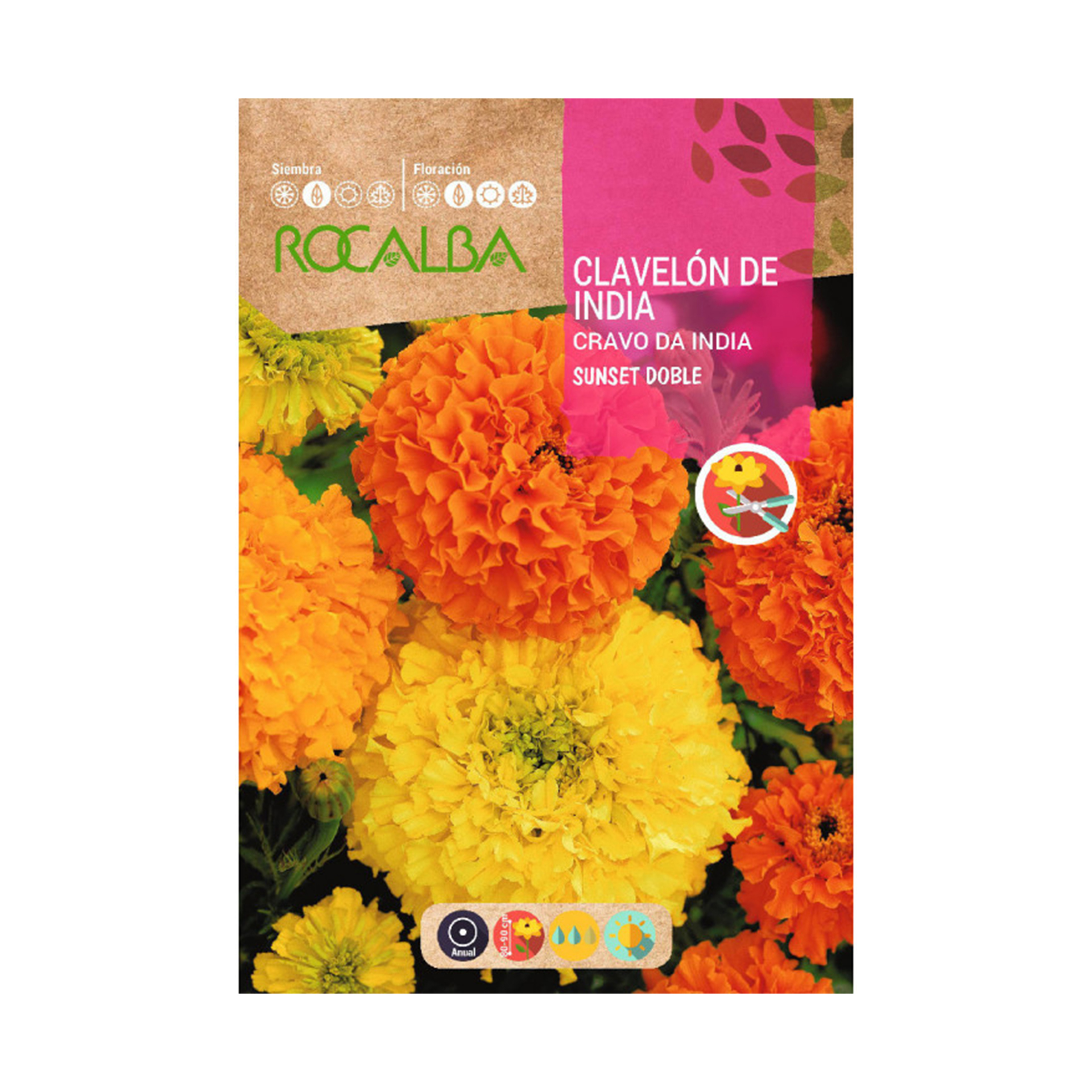 Cravo Rosa Da Índia Sunset 6 G ROCALBA