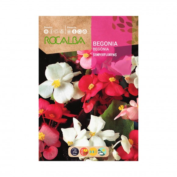 Begonia Semperflorens 0,1 G ROCALBA Begonia Semperflorens 0,1 G ROCALBA