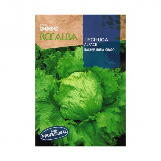Alface Batavia Rubia 50 Sementes ROCALBA