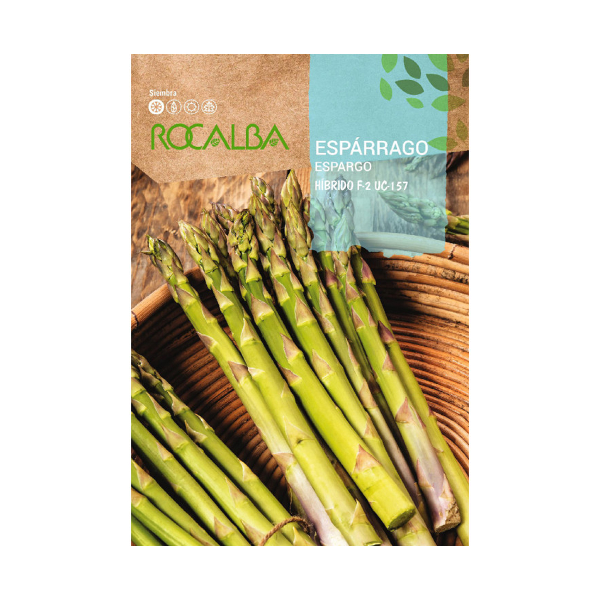 Espargos Hibrido F2 3 G ROCALBA