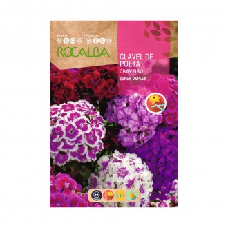 Cravo Poeta Super Duplex 4 G ROCALBA