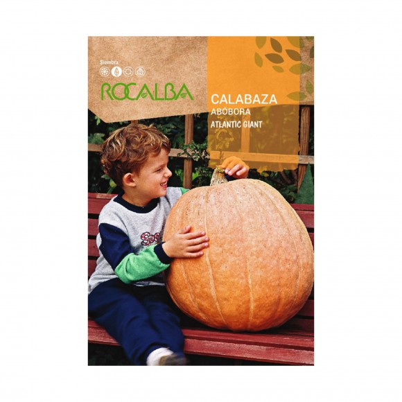 Ab�bora Atlantic Gigante 5 G ROCALBA