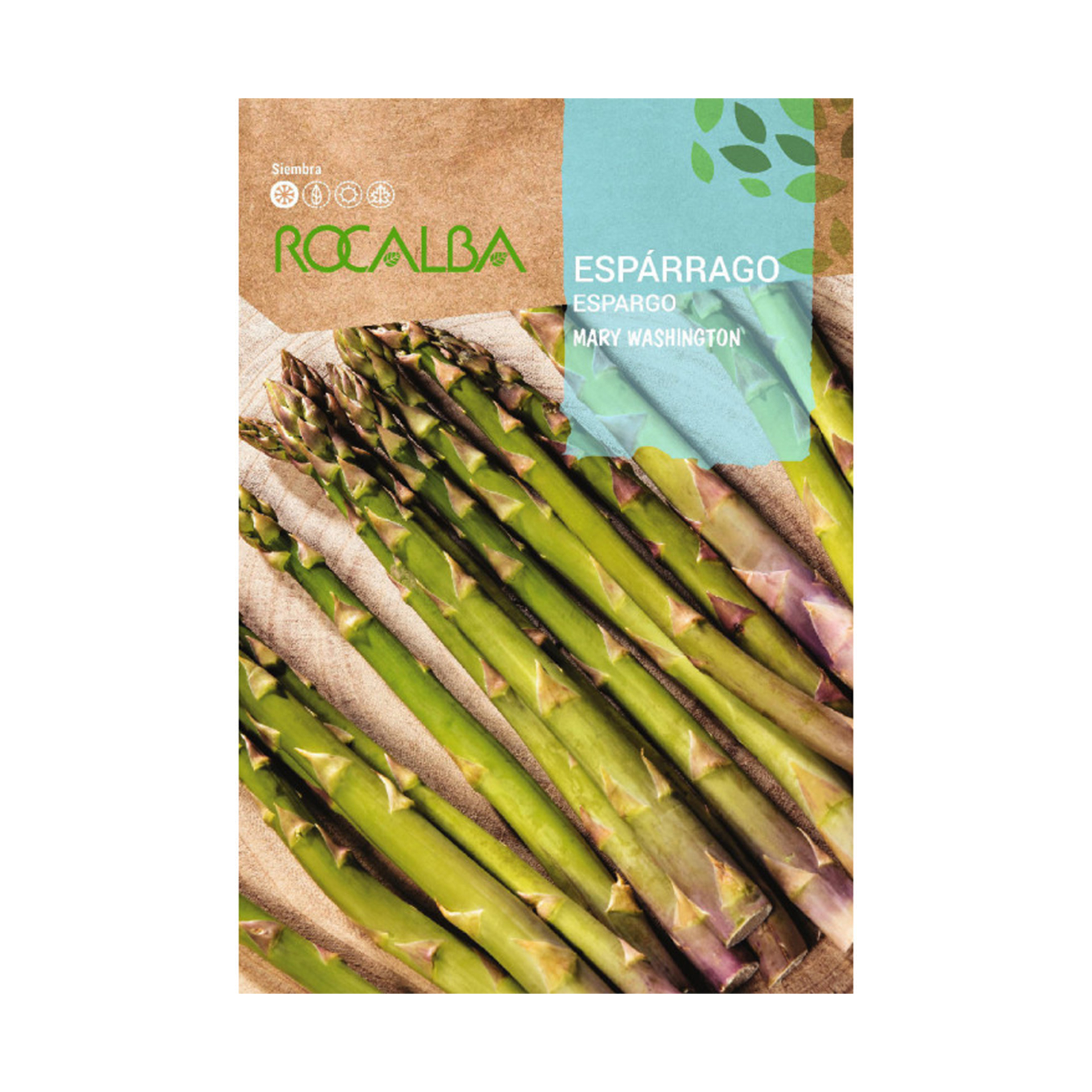 Espargo Mary Washington 3 G ROCALBA