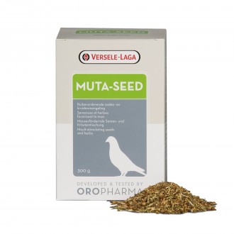 SEMENTES DE MUDA- MUTA SEED