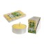 TEALIGHTS CITRONELA