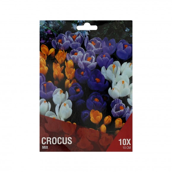 CROCUS MIX 10 BOLBOS