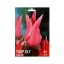 TULIPA LILY