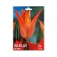 TULIPA LILY