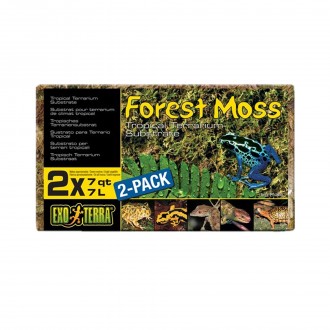 Substrato Forest Moss