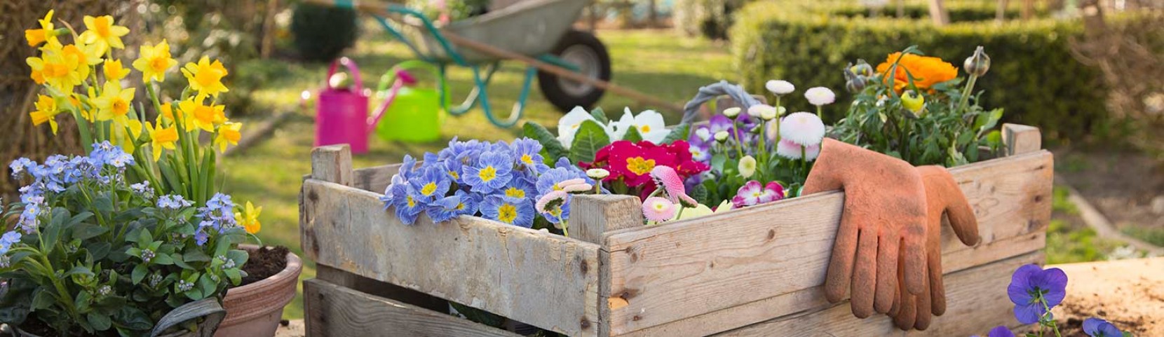 4 Dicas para Preparar o Jardim para o Vero