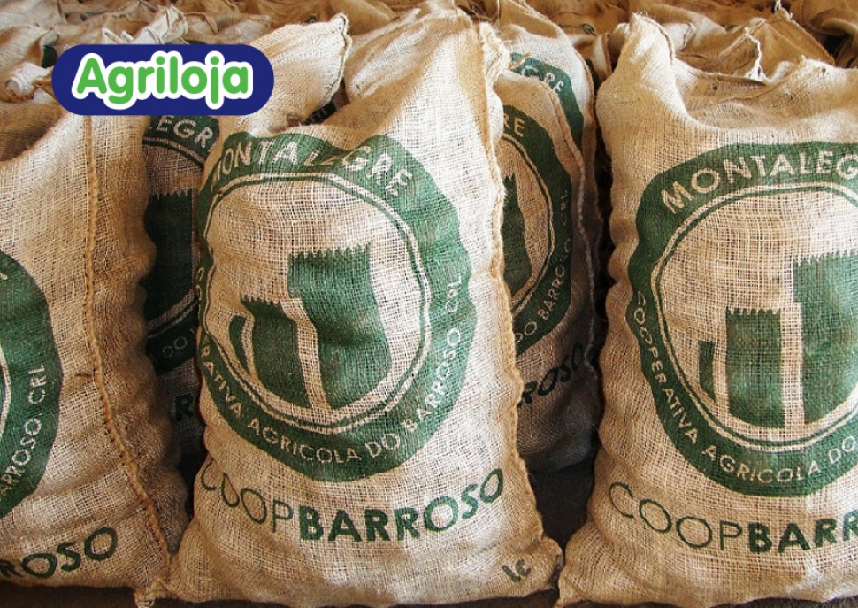 Agriloja promove Batata de Semente Nacional Certificada