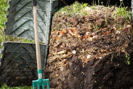 Dicas sobre compostagem para a sua horta