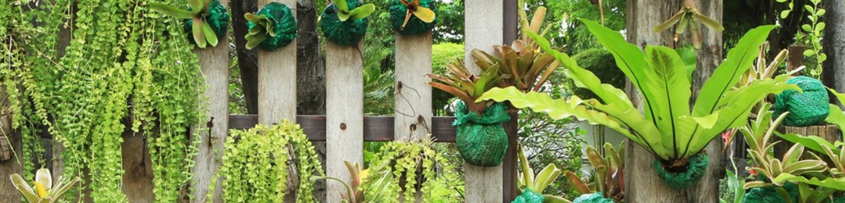 7 passos simples para criar um Jardim Vertical e tornar a sua casa mais bonita